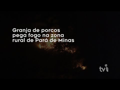 Vídeo: Granja de porcos pega fogo na zona rural de Pará de Minas