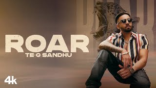 Roar TE G Sandhu | Punjabi Song Video HD