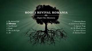A promo of the CD release from Roots Revival project, Maramures Edition. This album is the live recording from  concert in the Radio Hall in Bucharest

Musicians in this project are:

Mehmet Polat (Tu