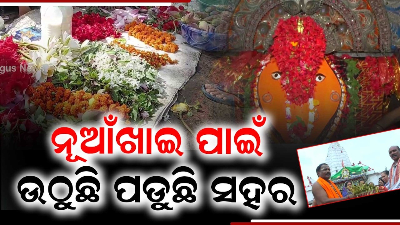 Nuakhai Special: Final Preparations & Nabanna Timings at Samaleswari Temple | Argus News