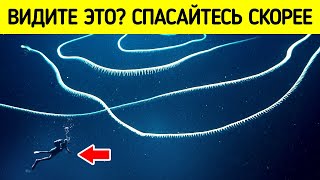 7 странных созданий, которых только что открыла наука