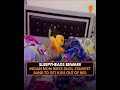 Indian Mom Hires Live Band to Wake Kids | Viral “Mother of the Year” Moment | News9