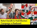 Rahul Gandhi Arrives in Raebareli | Rahul & Priyanka to Hold Election Campaign | Lok Sabha Polls |