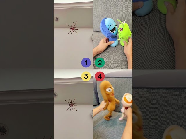 funny where is the spider collection