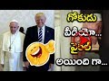 Angry Pope Slaps Trump's Hand, Awkward Moment! : Viral Video
