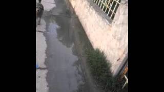 Reclamo añejo: aguas servidas