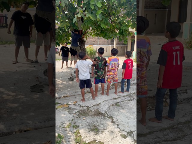 Anak anak kalo ngejer layangan semangat bener #shorts #lucu #kocak