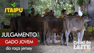 Itaipu Rural Show 2024 - Julgamento do Gado Jovem da Raça Jersey