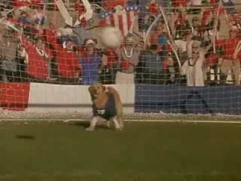 Air Bud 3: World Pup'