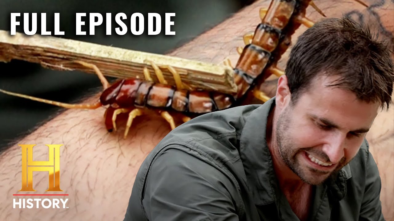 Kings of Pain: Giant Centipede & 16-Foot Python Leave Adam & Rob Reeling (S1, E8) | Full Episode