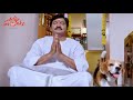 Special AV on Tommy Movie - Rajendra Prasad, Suresh, Chakri