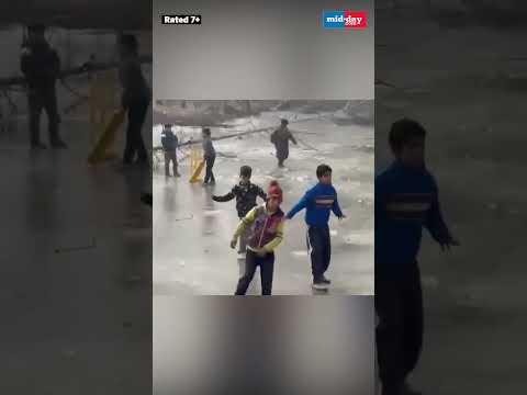 Kids play cricket on a frozen pond in Sopore Jammu  Kashmir  12K views  play Short