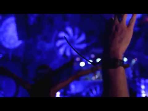 Dimitri Vegas & Like Mike WW Waves Anthem vs Gold Skies Live at Tomorrowland 2014 Mainstage