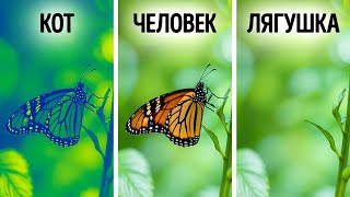 50+ увлекательных фактов о животных, которыми можно поделиться и удивить других