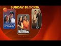 Sunday Blockbuster Movies | Watch & Enjoy | Zee Telugu  - 00:19 min - News - Video
