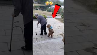 “The Funniest Animal Moments You’ll See Today 😂🐾 | Try Not to Laugh!” #Shorts #funny #funnyanimals