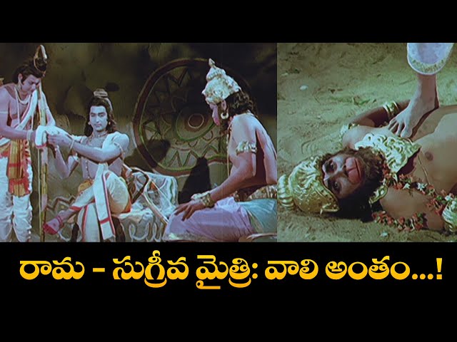 రామ-సుగ్రీవ మైత్రి: వాలి అంతం....! | Shobhan Babu, Chandrakala | Sampoorna Ramayanam | ETV Cinema