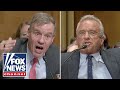 HIGHLIGHTS: RFK Jr. battles Dems at explosive hearing