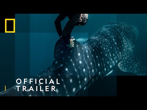 Perpetual Planet: Heroes of the Oceans'