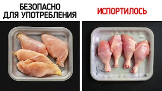 100 Советов для овладения искусством жизни