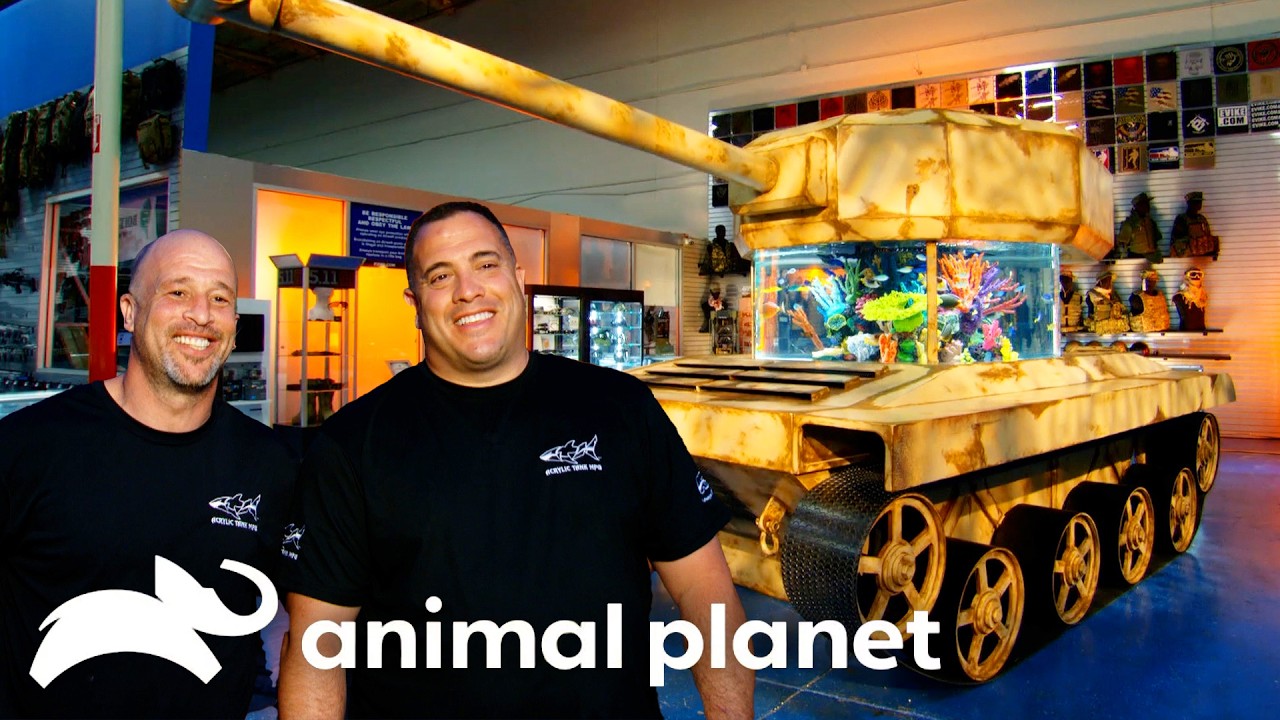 The Craziest Tanks of SEASON 4! | Tanked | Animal Planet