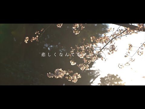 Thinking Dogs 「悲しくなんてないんです」 meets Ayane (movie artist)