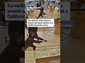 Surveillance video shows a smash-and-grab robbery at a California jewelry store
