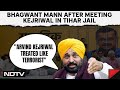 Kejriwal Arrest News | Arvind Kejriwal Treated Like Terrorist: Bhagwant Mann On Tihar Jail Meet