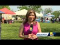 Park Heights Preakness Festival becoming new Baltimore tradition  - 02:27 min - News - Video