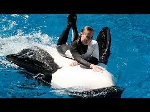 The Complete SeaWorld Shamu "Believe" Show (When Trainers Were in the ...