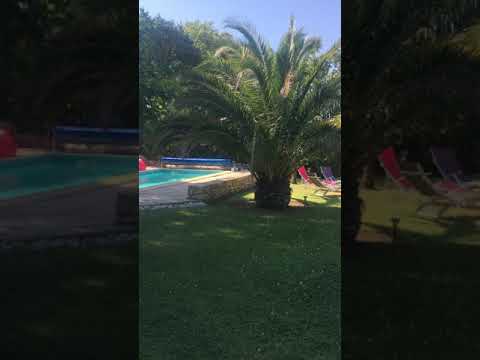 Property video