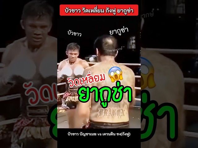 รู้ซะบ้าง!! ไผเป็นไผ 🔥😎 #บัวขาว #ยากูซ่า #muaythai #KungFu #บัวขาวล่าสุด