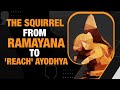 Bengaluru Sculptors Symbolic Squirrel Statue To Adorn Ayodhya Dham| News9