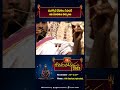శ్రీశైల భ్రమరాంబ మల్లికార్జున స్వామి వారి కల్యాణోత్సవం #kotideepotsavam2023 #shorts #bhakthitv  - 00:55 min - News - Video