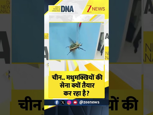 #shorts चीन मधुमक्खियों की सेना क्यों तैयार कर रहा है? #china #dnawithrahulsinha