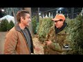 Made in America: Christmas tree farmers celebrated around the US  - 04:08 min - News - Video