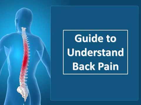 Guide to Understand Back Pain