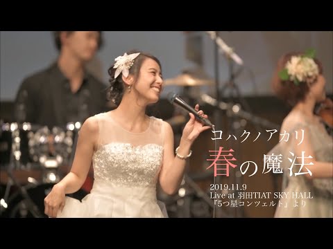 コハクノアカリ/ 春の魔法 (ホールワンマン2019『5つ星コンツェルト』より)