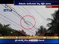 Snake Hulchul on Electrical Wire In W.G Dist- People Make Bee Line