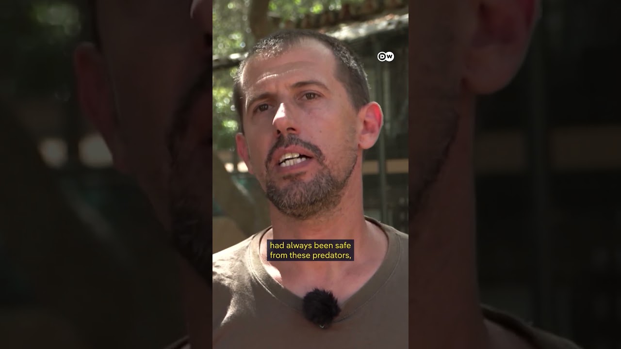 Snake infestation on Mallorca | DW News