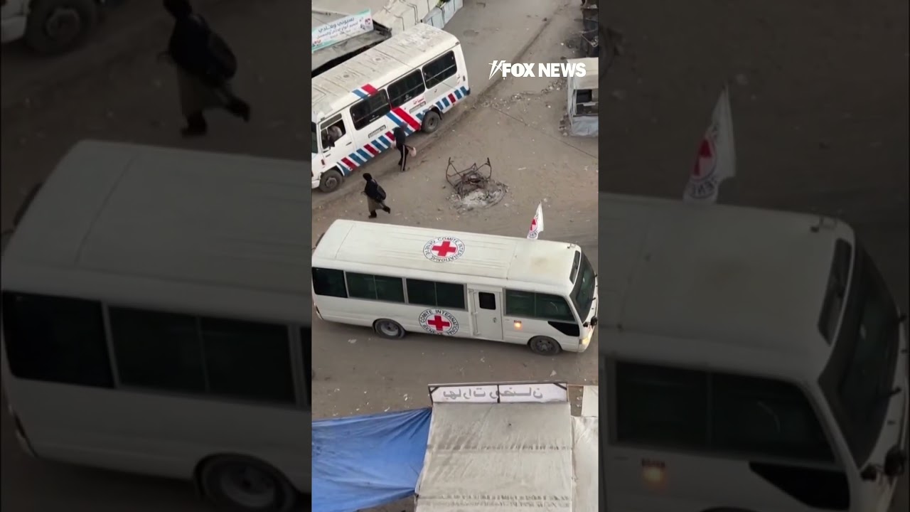 Red Cross vehicles enter Gaza ahead of hostage release #shorts #foxnews #world #israel #news