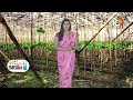 Betel Leaves Cultivation | లాభాలు పండిస్తున్న తమలపాకు సాగు | Matti Manishi | 10TV News  - 05:30 min - News - Video
