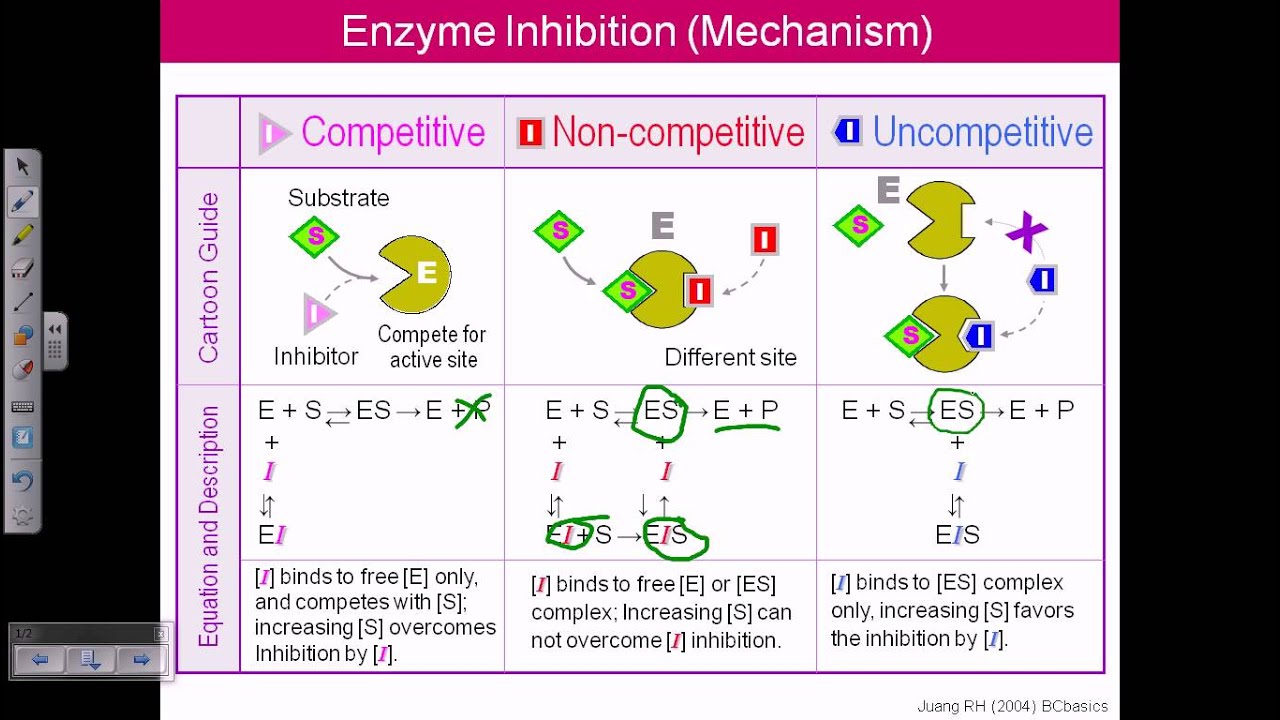 enzyme-inhibition-youtube