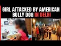 Dog Attacks Child In Delhi | Girl, 7, Receives Over 15 Injuries After Being Attacked By Dog