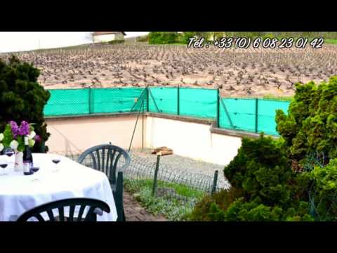 宿泊施設による動画