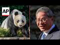 Chinese premier promises more pandas for Australia