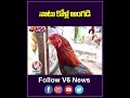నాటు కోళ్ల అంగడి | All Types Of Naatu And Pandem Kollu Available In Nizamabad Market | V6News  - 00:58 min - News - Video