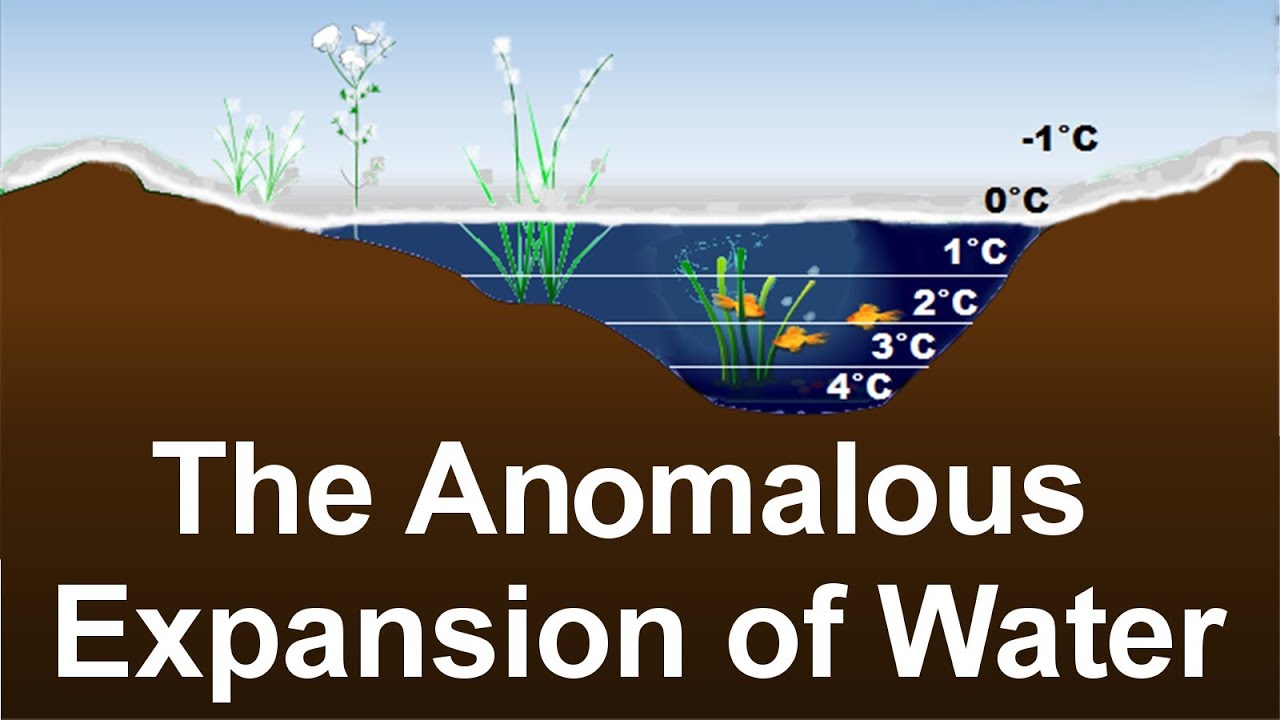 Anomalous Expansion Of Water 113