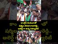 కాంగ్రెస్ కండువాతో షర్మిల వెనుక రాజారెడ్డి.. అలెర్ట్ గా ఉన్న సెక్యూరిటీ | YS Sharmila Viral Video  - 00:07 min - News - Video