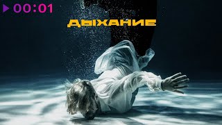 Максим Свобода — Дыхание | Official Audio | 2024